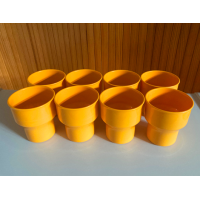 Koen de Winter Mepal Rosti Kan 66